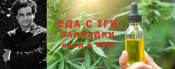 СК Ельня