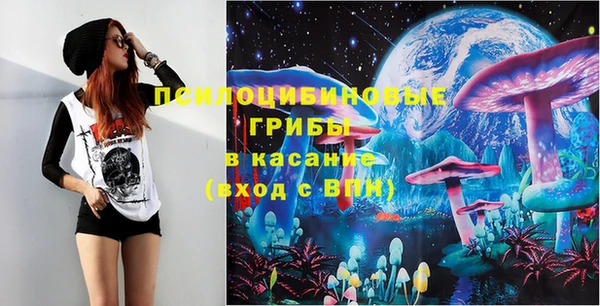 ГАЛЛЮЦИНОГЕННЫЕ ГРИБЫ Заводоуковск
