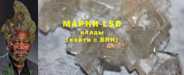 СК Ельня