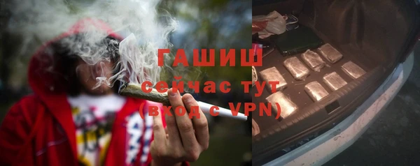 СК Ельня