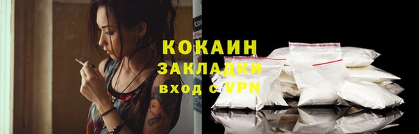 СК Ельня