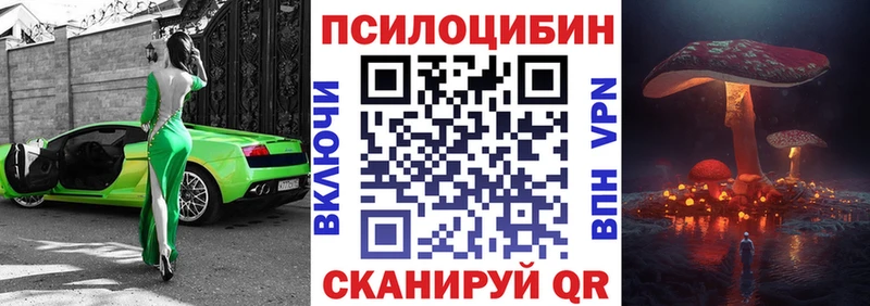 Купить  Зарайск  Галлюциногенные грибы прущие грибы 