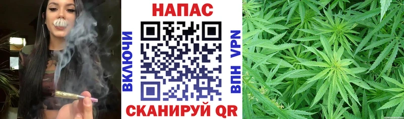 Купить закладки  Зарайск  Марихуана SATIVA & INDICA 